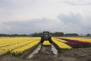 Landschapsfotografie