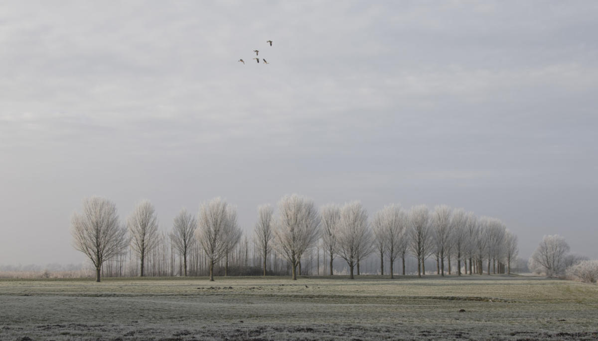 Landschapsfotografie