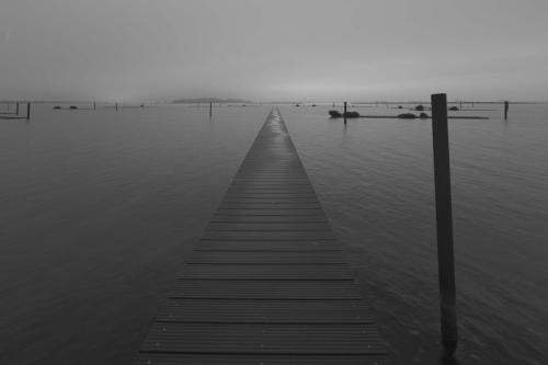Pier en Horizon